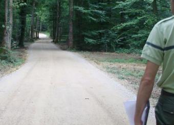 Chemin crée par traitement du sol au liant routier 